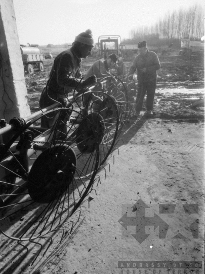 THM-BJ-06293 - Életkép a nagyszokolyi termelőszövetkezetben az 1980-as években 