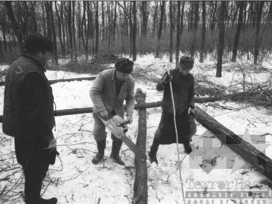 THM-BJ-06342 - Téli erdőirtás Sióagárdon az 1980-as években