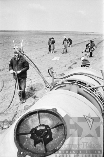 THM-BJ-06359 - Szőlőtelepítés a bátai termelőszövetkezetben az 1980-as években 