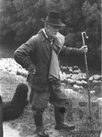 THM-BJ-06389 - Juhász Tolna megyében az 1980-as években 