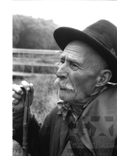 THM-BJ-06390 - Juhász Tolna megyében az 1980-as években 