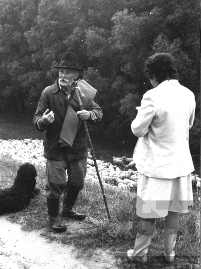 THM-BJ-06393 - Juhász Tolna megyében az 1980-as években 