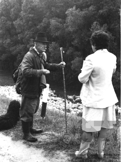 THM-BJ-06394 - Juhász Tolna megyében az 1980-as években 