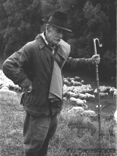 THM-BJ-06400 - Juhász Tolna megyében az 1980-as években 