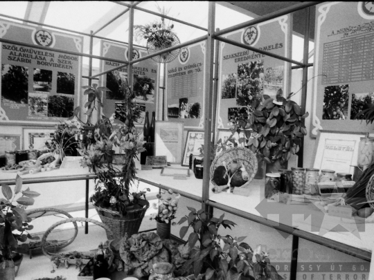 THM-BJ-06420 - Tolna megyei mezőgazdasági kiállítás Szekszárdon az 1980-as években