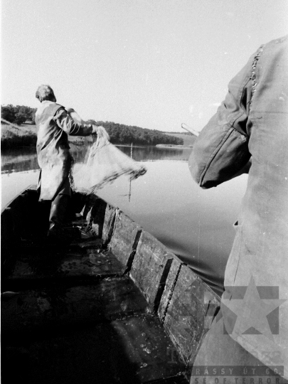 THM-BJ-06441 - Lehalászás a Tamási Állami Gazdaság halastaván az 1980-as években