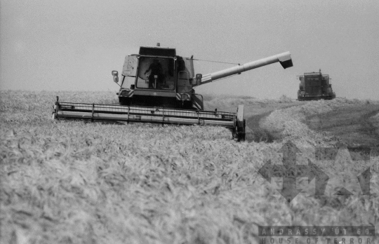THM-BJ-06463 - Árpatermesztési bemutató Lengyelen az 1980-as években 