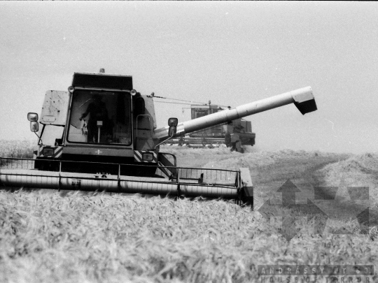 THM-BJ-06464 - Árpatermesztési bemutató Lengyelen az 1980-as években 