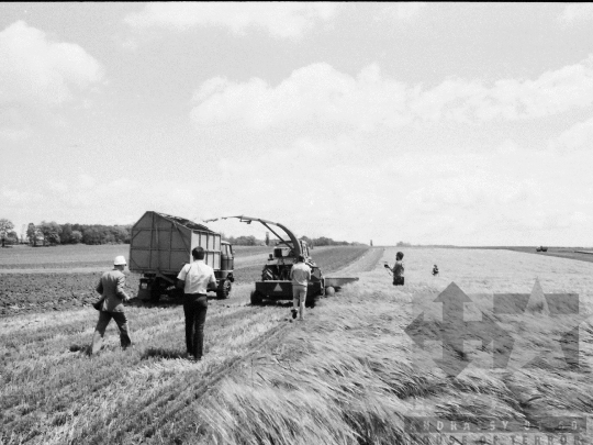 THM-BJ-06466 - Árpatermesztési bemutató Lengyelen az 1980-as években 