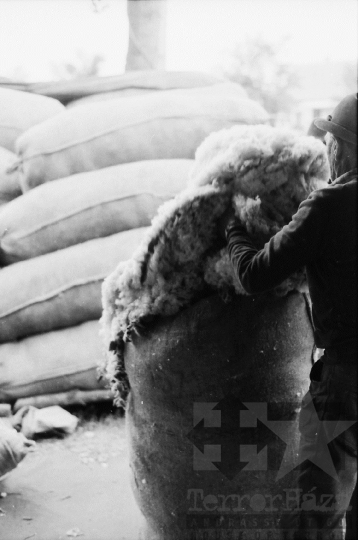 THM-BJ-06498 - Birkanyírás a Kismórágyon az 1980-as években