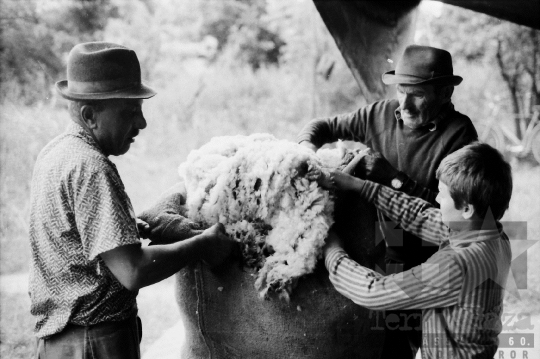 THM-BJ-06499 - Birkanyírás a Kismórágyon az 1980-as években