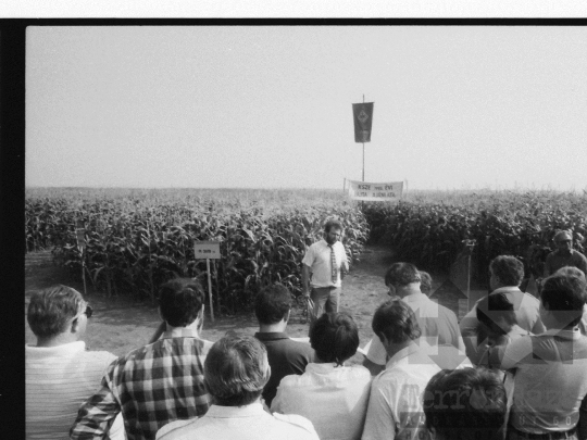 THM-BJ-06716 - A Kukoricatermesztési Szocialista Együttműködés rendezvénye Szekszárdon 1980-as években
