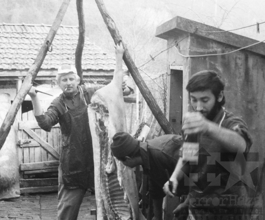 THM-BJ-06871 - Disznóvágás és disznótor Mórágyon Mucska István Alkotmány utcai házánál az 1980-as években