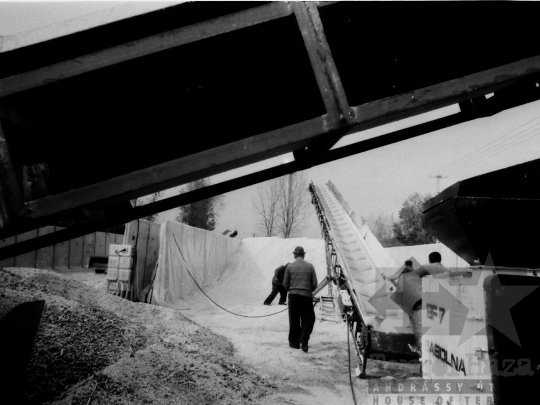 THM-BJ-07074 - Új sertéstelep építése Németkér-Hardon az 1980-as években 