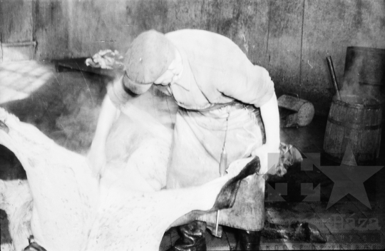 THM-BJ-07265 - Vágóhíd Szekszárdon az 1960-as években 