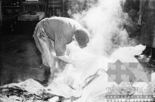 THM-BJ-07266 - Vágóhíd Szekszárdon az 1960-as években 