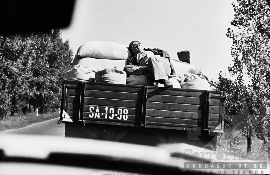 THM-BJ-07368 - A bátaszéki termelőszövetkezet teherautója úton az 1960-as években 