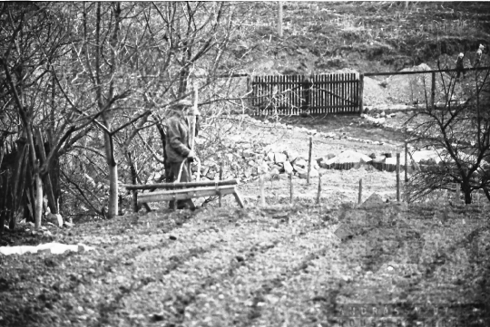 THM-BJ-07885 - Treintz Henrik helyi lakos Mórágyon az 1980-as években