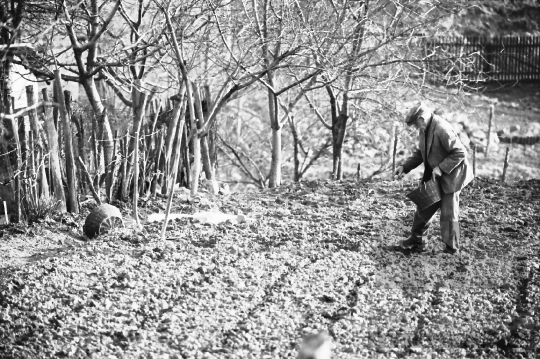 THM-BJ-07886 - Treintz Henrik helyi lakos Mórágyon az 1980-as években