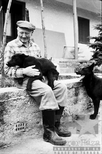 THM-BJ-07967 - Mórágyi életkép az 1980-as években