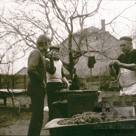 THM-BJ-08048 - Disznóvágás Szekszárdon az 1970-es években