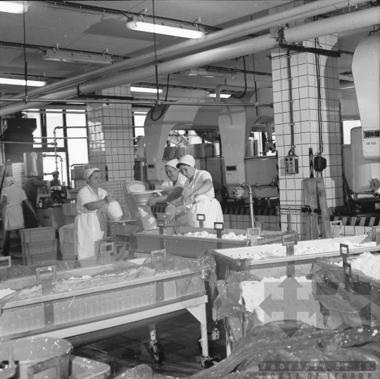 THM-BJ-08078 - Dombóvári tejüzem az 1970-es években