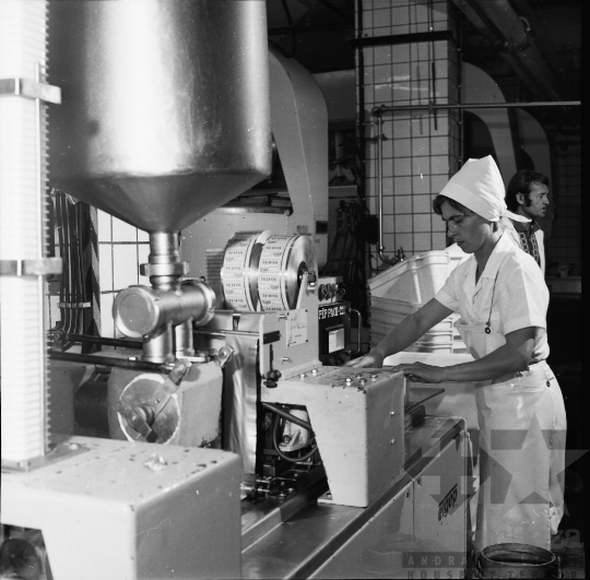 THM-BJ-08079 - Dombóvári tejüzem az 1970-es években