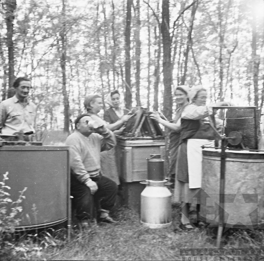 THM-BJ-08196 - Méhészeti munka Szekszárd-Sötétvölgyön az 1960-as években 