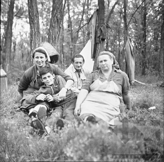 THM-BJ-08197 - Méhészeti munka Szekszárd-Sötétvölgyön az 1960-as években 