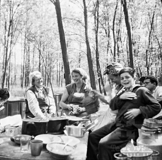 THM-BJ-08198 - Méhészeti munka Szekszárd-Sötétvölgyön az 1960-as években 