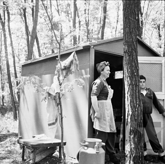 THM-BJ-08199 - Méhészeti munka Szekszárd-Sötétvölgyön az 1960-as években 