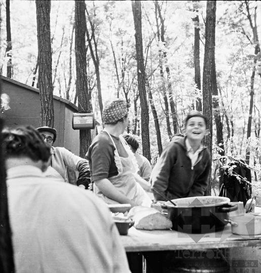 THM-BJ-08200 - Méhészeti munka Szekszárd-Sötétvölgyön az 1960-as években 