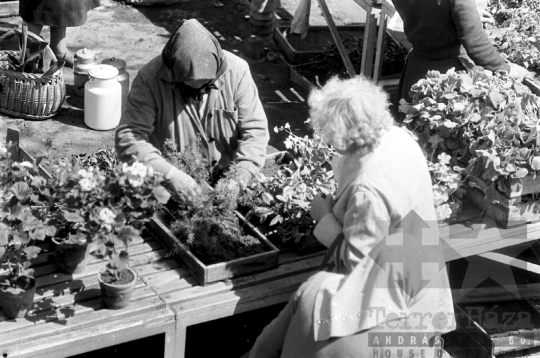THM-BJ-08262 - Piaci életkép Szekszárdon az 1960-as években