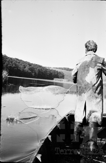 THM-BJ-08298 - Tamási halastó az 1970-es években