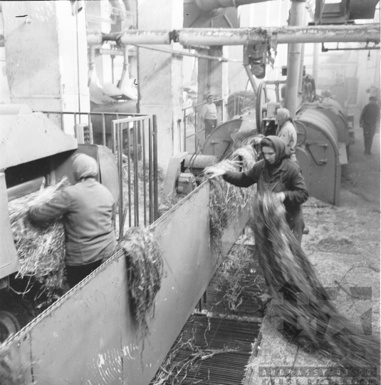 THM-BJ-08586 - Tolnanémedi Kendergyár az 1960-as években 