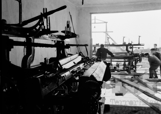 THM-BJ-08590 - Munka a nagykónyi termelőszövetkezetben az 1960-as években 