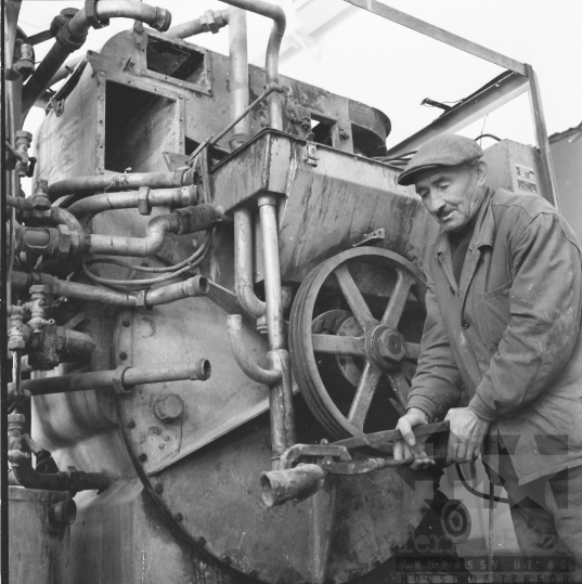 THM-BJ-08591 - Munka a nagykónyi termelőszövetkezetben az 1960-as években 