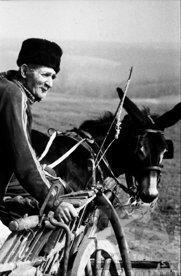 THM-BJ-08641 - Szamárfogat Regölyön az 1980-as években