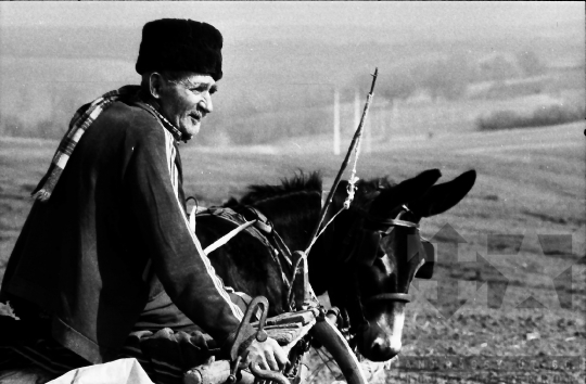 THM-BJ-08642 - Szamárfogat Regölyön az 1980-as években