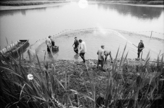 THM-BJ-08695 - Halászat a tamási termelőszövetkezetben az 1980-as években