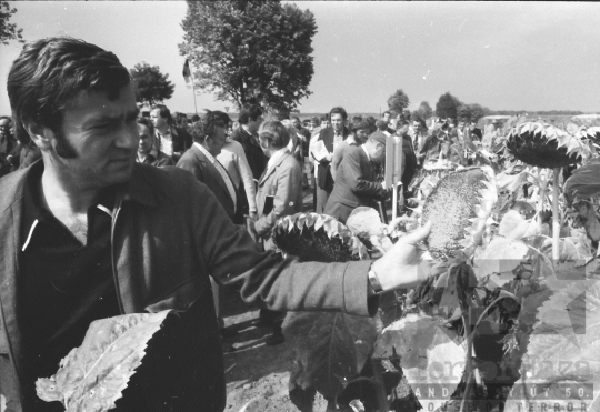 THM-BJ-08751 - A Kukoricatermesztési Szocialista Együttműködés rendezvénye Tamásiban 1980-as években 