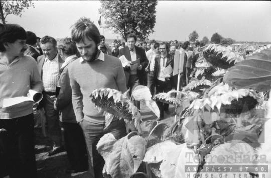 THM-BJ-08752 - A Kukoricatermesztési Szocialista Együttműködés rendezvénye Szekszárdon 1980-as években 