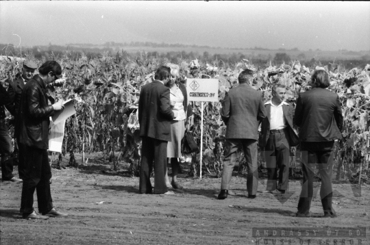THM-BJ-08756 - A Kukoricatermesztési Szocialista Együttműködés rendezvénye Szekszárdon 1980-as években 