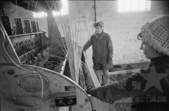 THM-BJ-08811a - Nádfeldolgozás Tolna-Mözs községben az 1980-as években 