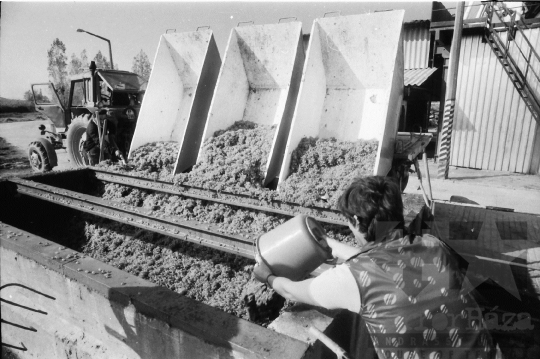 THM-BJ-08929 - Szekszárdi szőlőfeldolgozó telep az 1980-as években 
