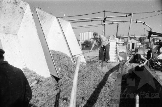 THM-BJ-08930 - Szekszárdi szőlőfeldolgozó telep az 1980-as években 