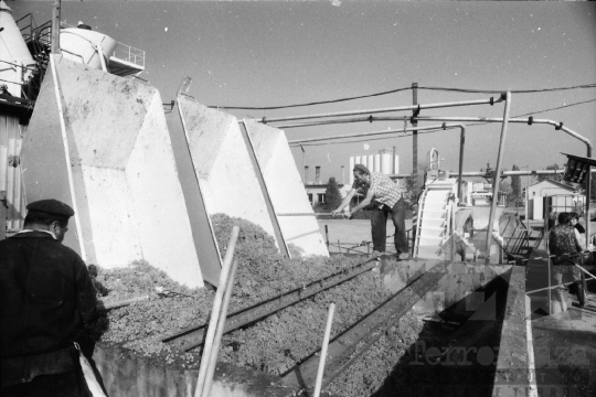 THM-BJ-08931 - Szekszárdi szőlőfeldolgozó telep az 1980-as években 