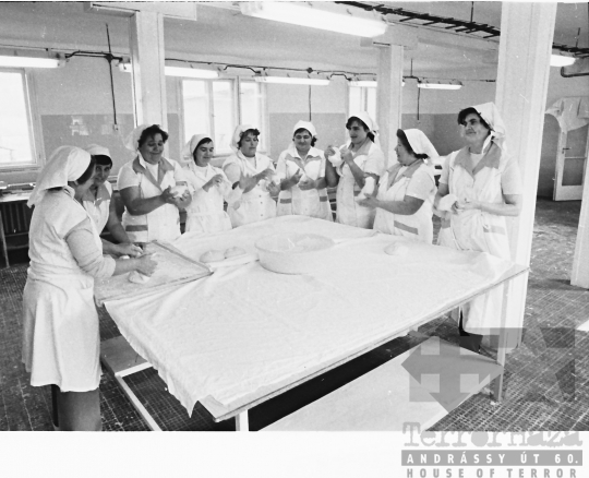 THM-BJ-08990 - Alsónánai termelőszövetkezet tésztafeldolgozó üzeme az 1980-as években