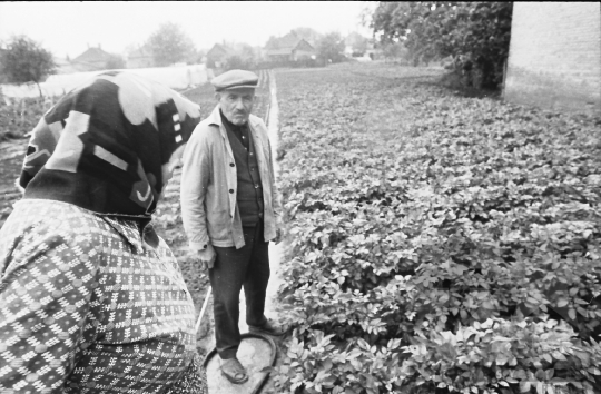 THM-BJ-09036 - Tengelici idős házaspár háztáji gazdasága az 1980-as években 