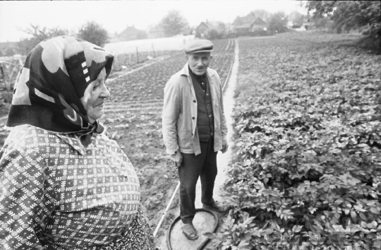 THM-BJ-09037 - Tengelici idős házaspár háztáji gazdasága az 1980-as években 